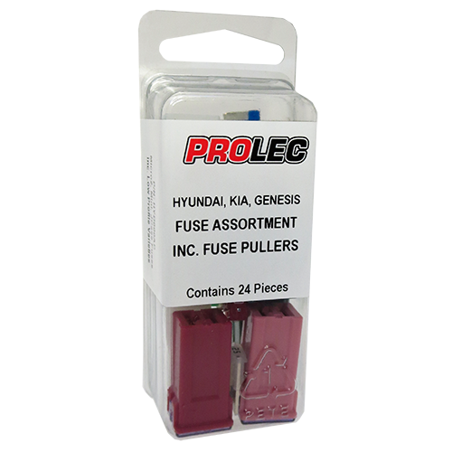Includes a variety of Fuses & Fuse Puller